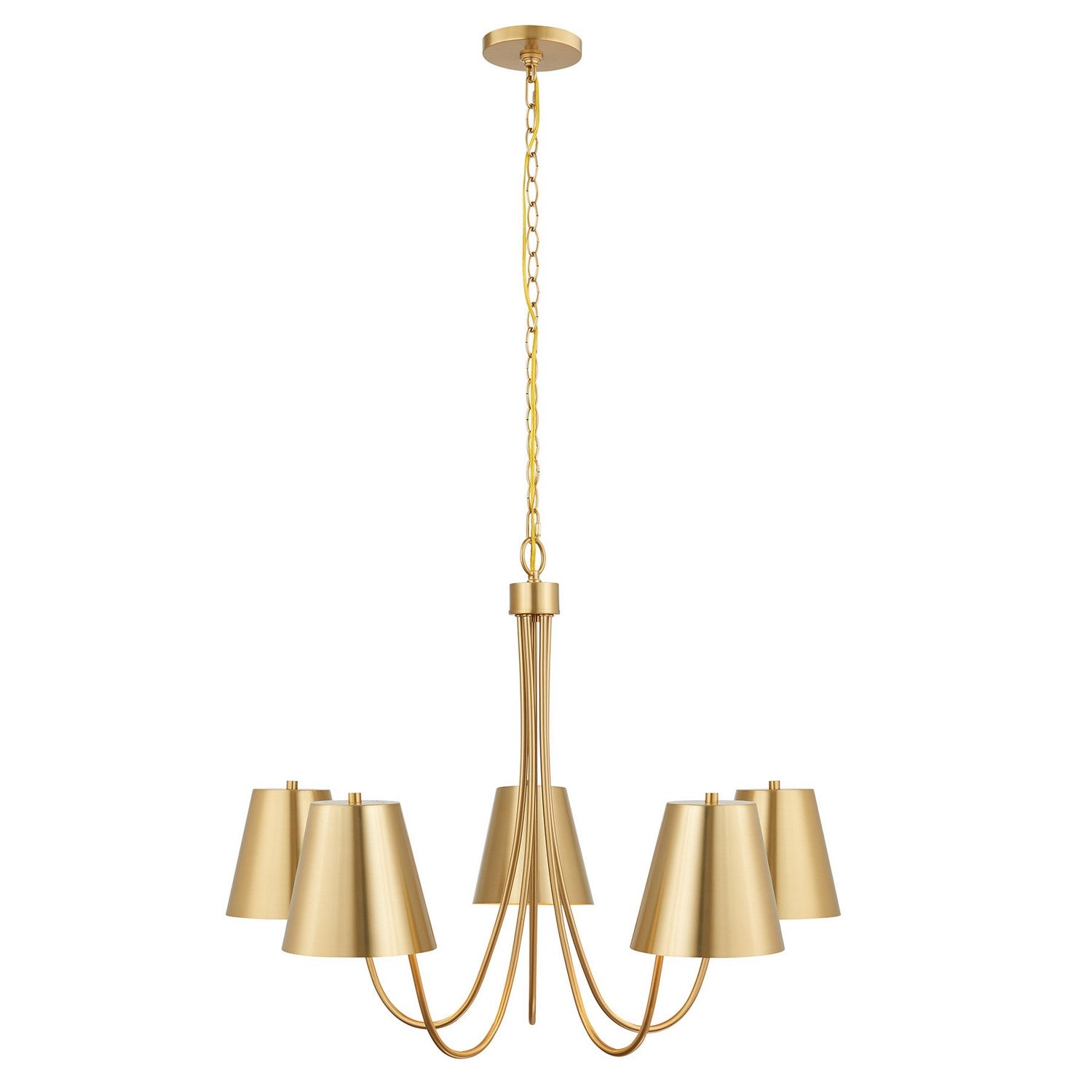 Meridian M100142NB Five Light Chandelier in Natural Brass