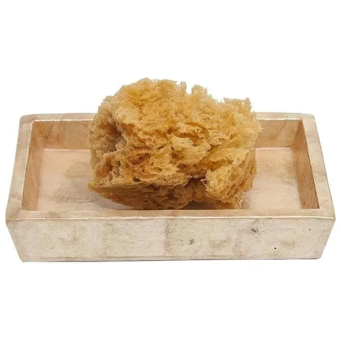 Pigeon and Poodle PP000238 Andria Soap Dish in Smoked Capiz Shell