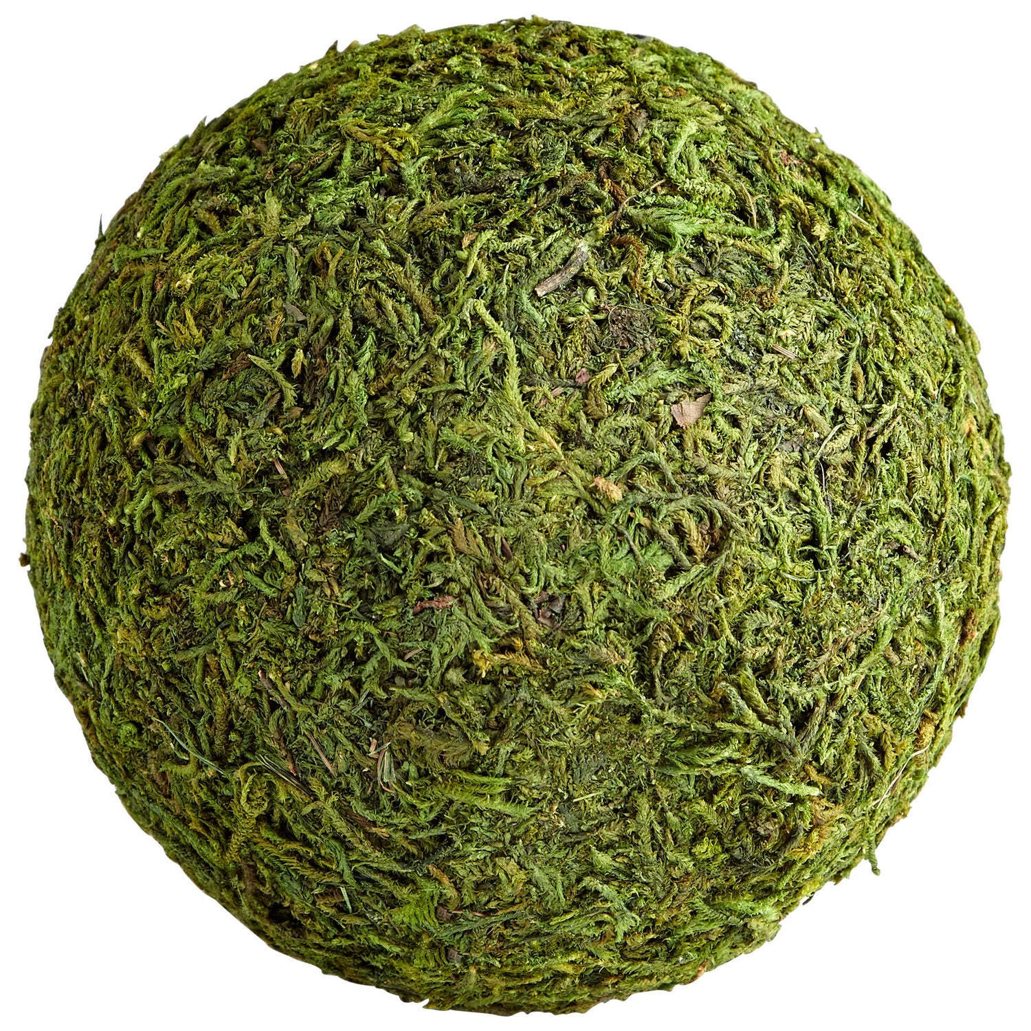 Cyan Canada - 07299 - Filler - Bermuda - Green Moss