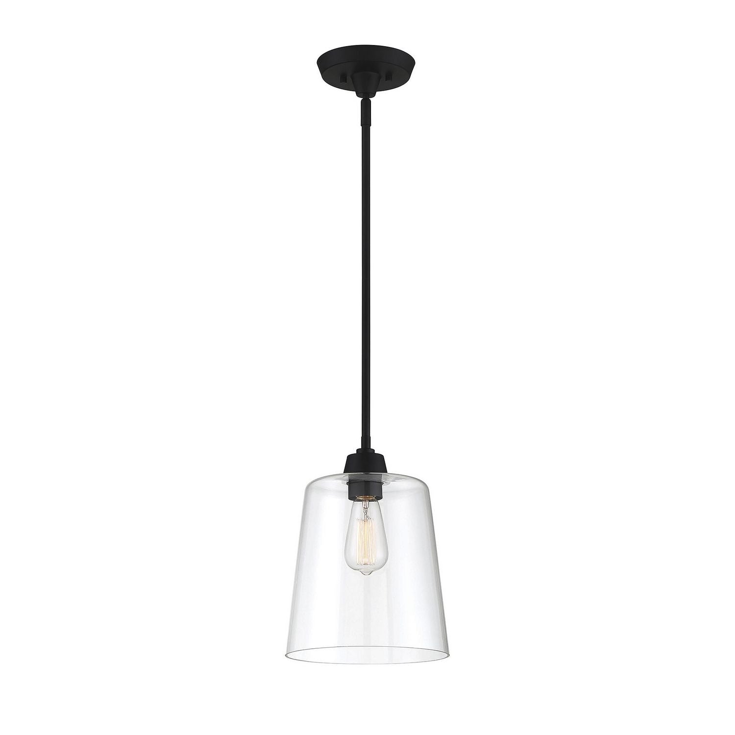 Meridian M70081MBK One Light Pendant in Matte Black
