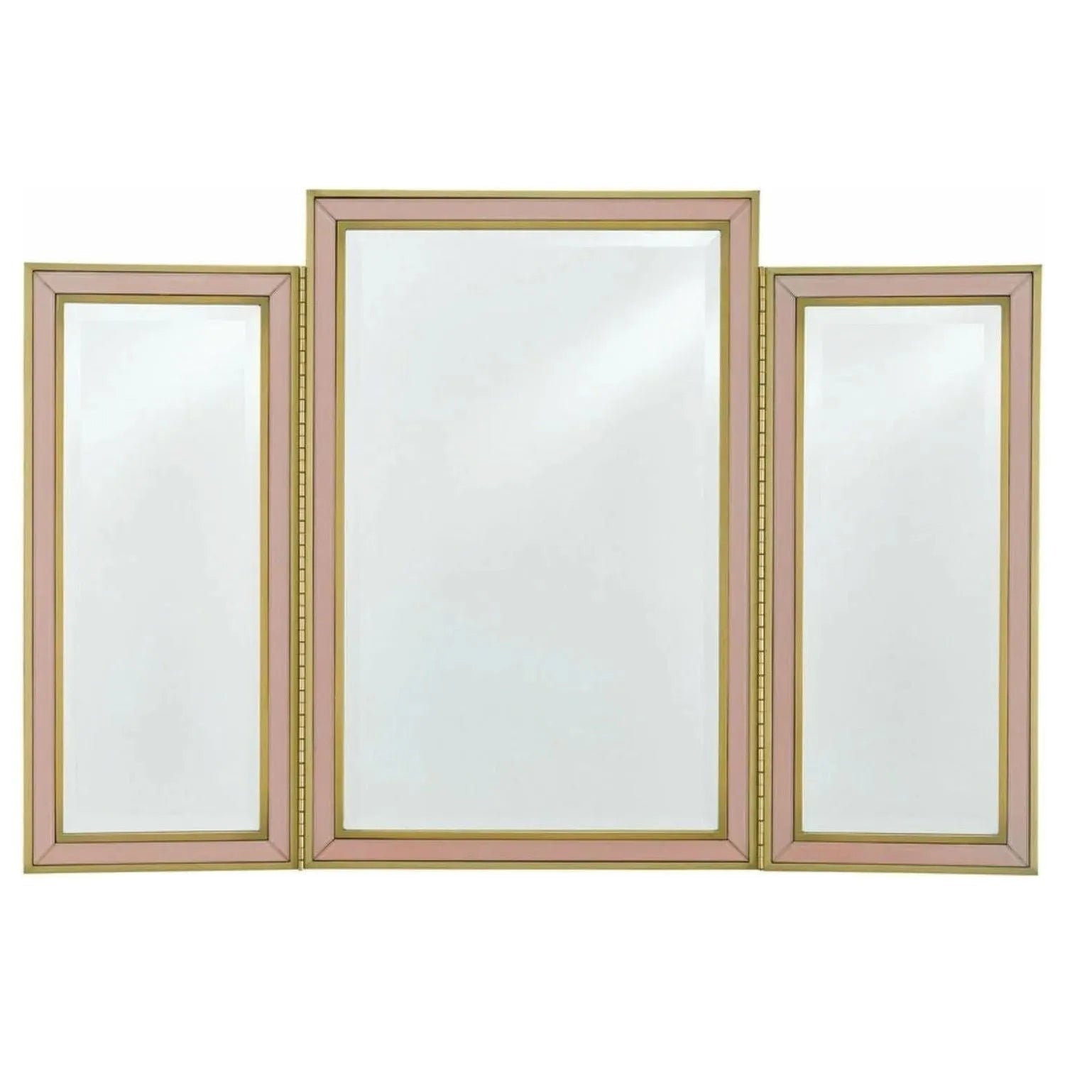 Currey and Company - Arden Pink Vanity Mirror - 1000-0024 | The Rug District