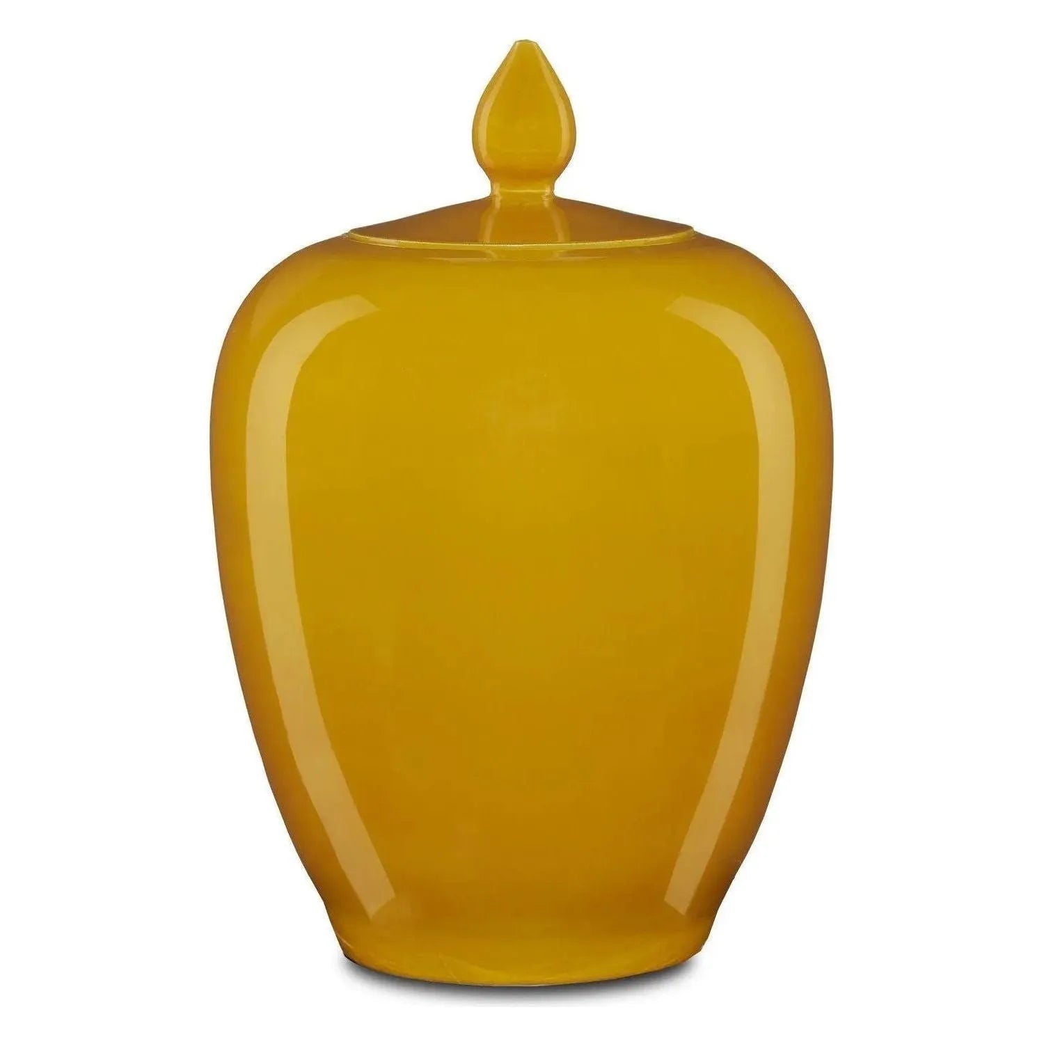 Currey and Company - Imperial Ginger Jar - 1200-0579 | The Rug District