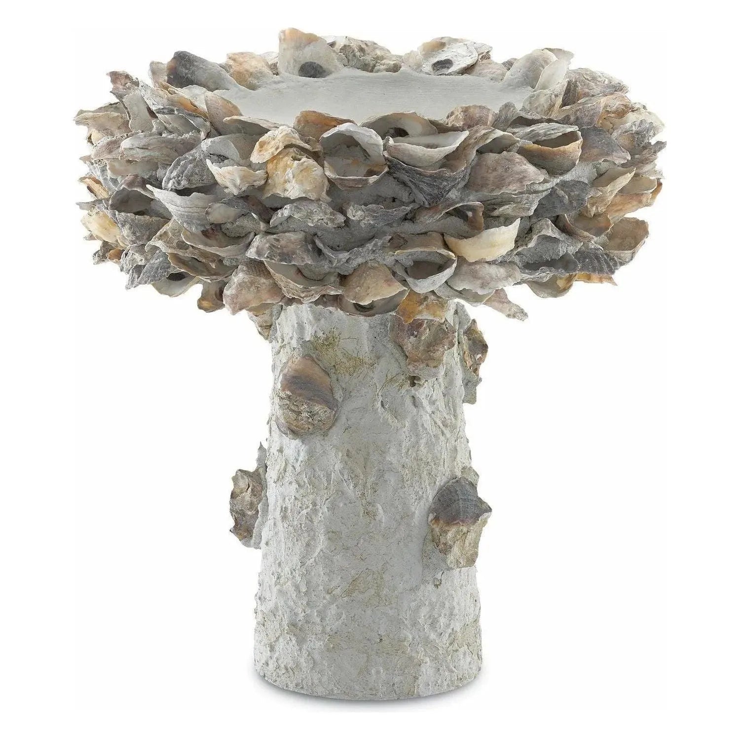 Currey and Company - Oyster Shell Bird Bath - 1200-0052 | The Rug District