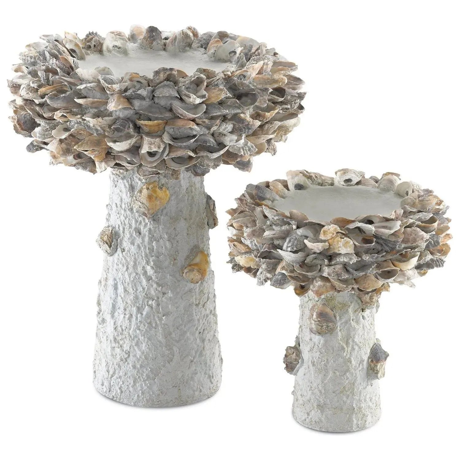 Currey and Company - Oyster Shell Bird Bath - 1200-0052 | The Rug District