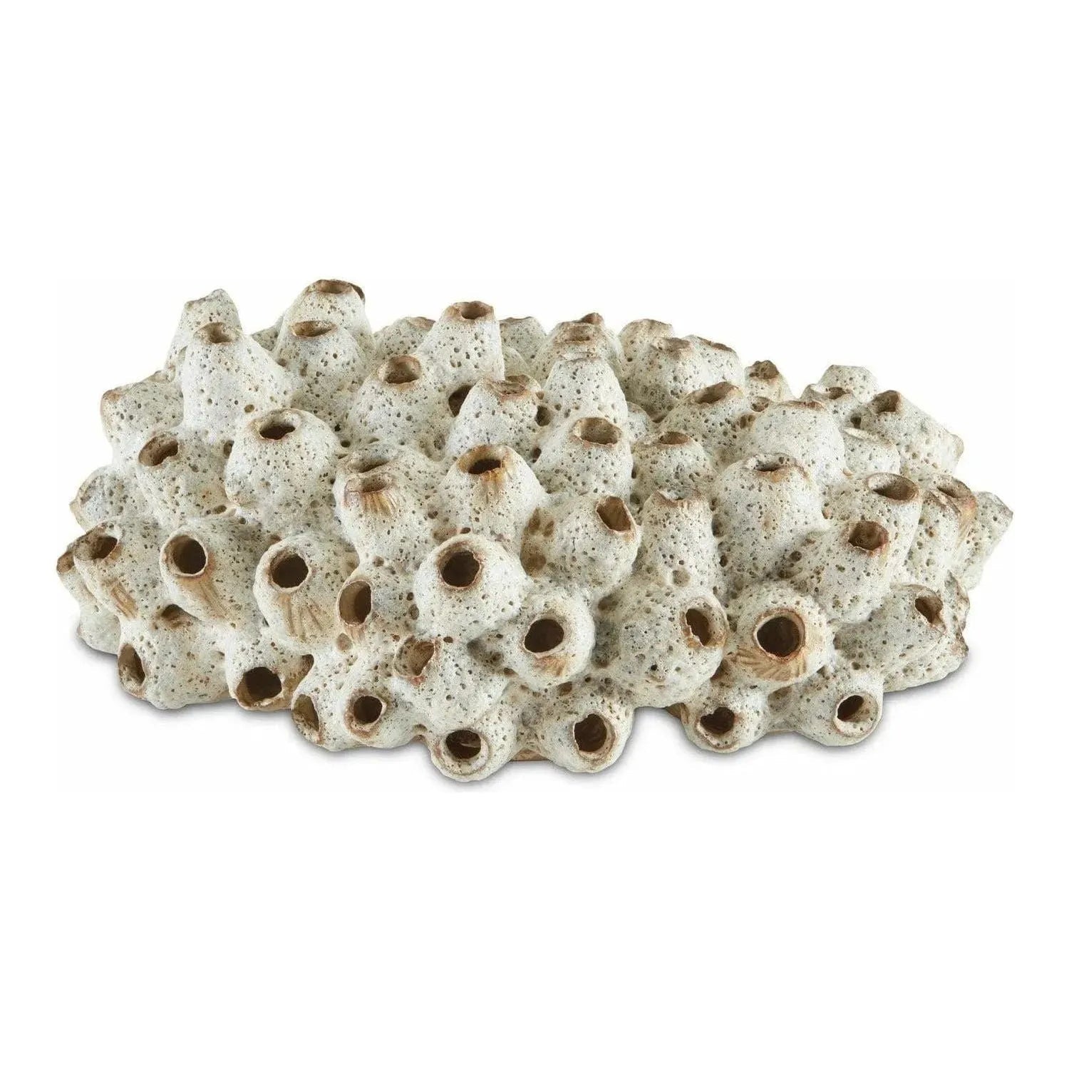 Currey and Company - Suluwasi Shells - 1200-0429 | The Rug District