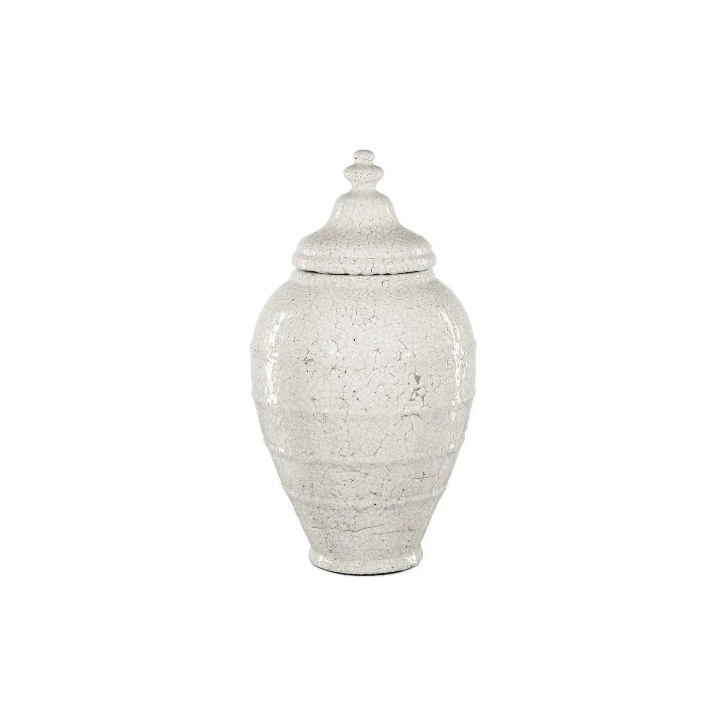 Currey and Company - Virginal Jar - 1200-0884 | The Rug District