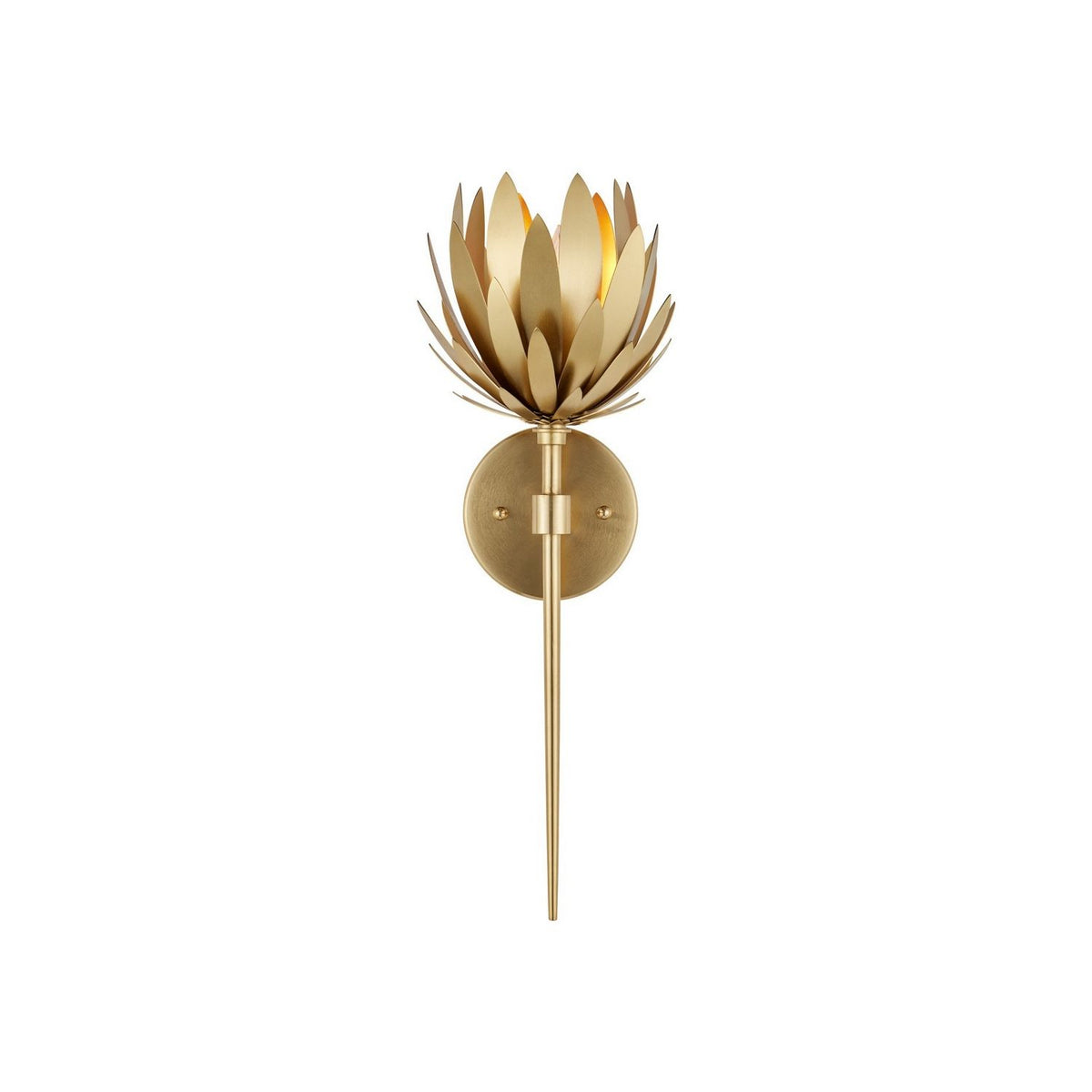Currey and Company 5000-0302 Protea Wall Sconce in Brass