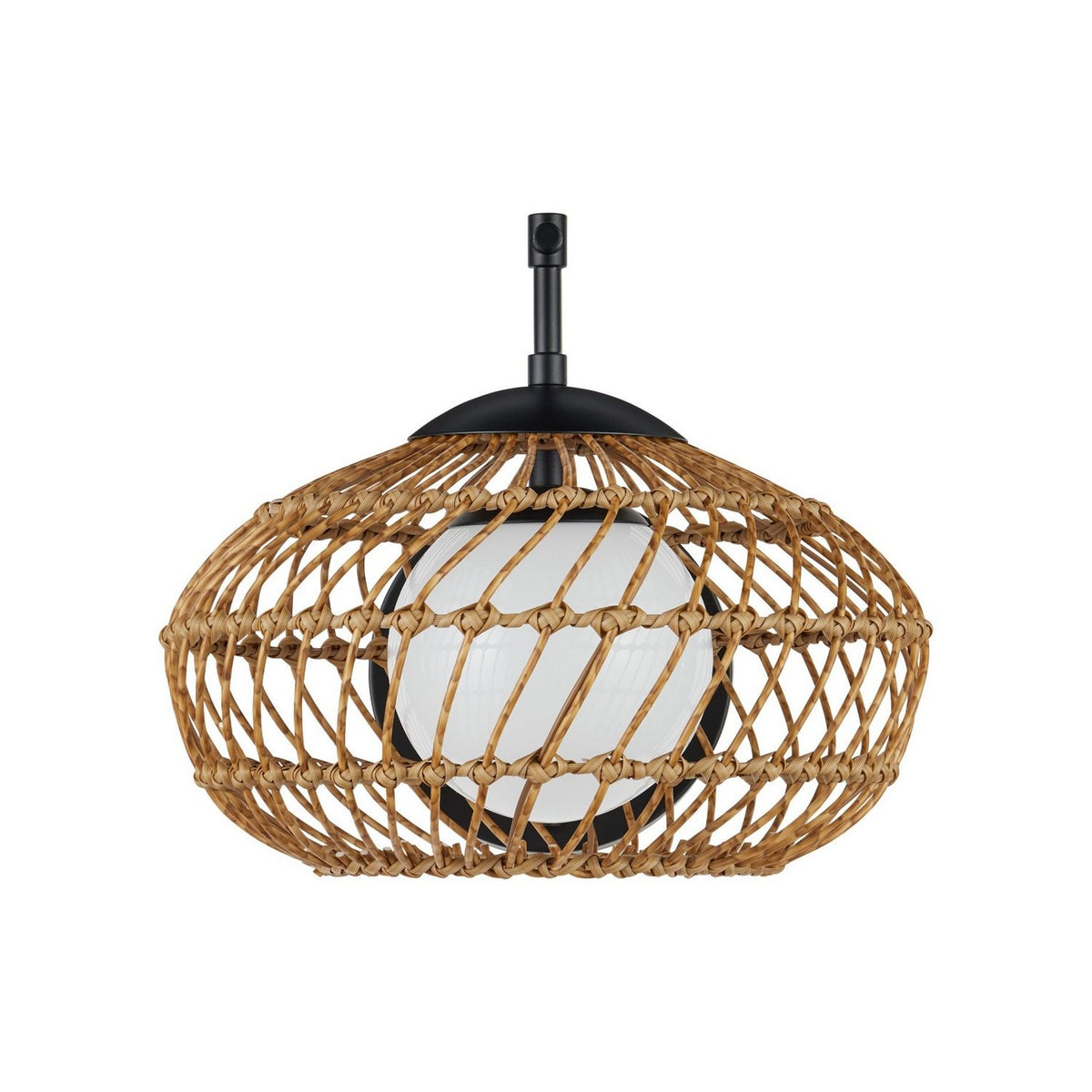 Currey and Company 5500-0060 Carriage Outdoor Wall Sconce in Natural/Black/Frosted White