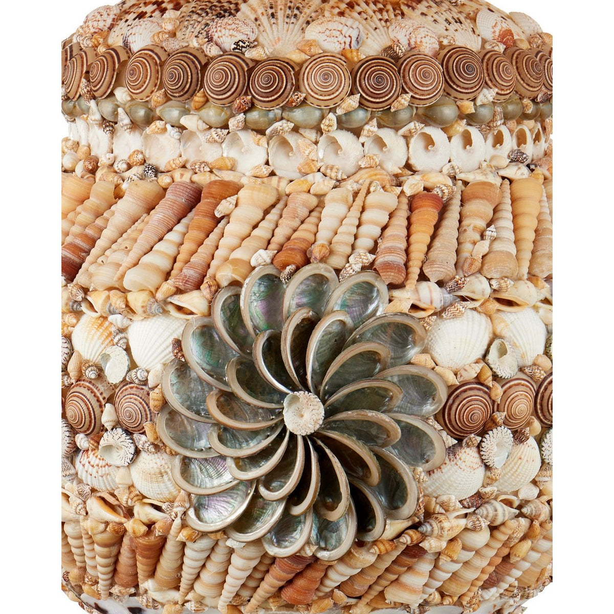 Currey and Company 6000-1055 Seascape Table Lamp in Natural