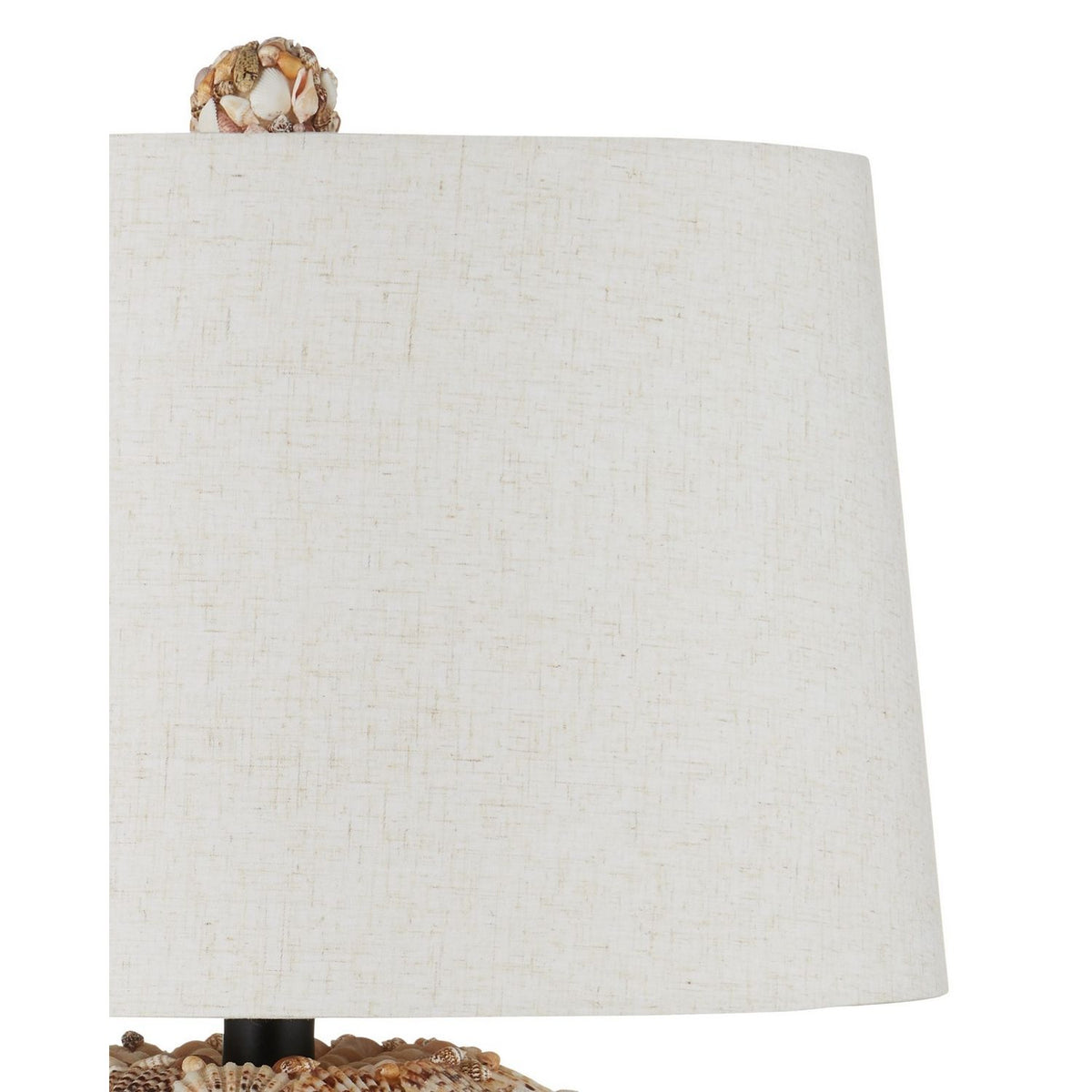 Currey and Company 6000-1055 Seascape Table Lamp in Natural