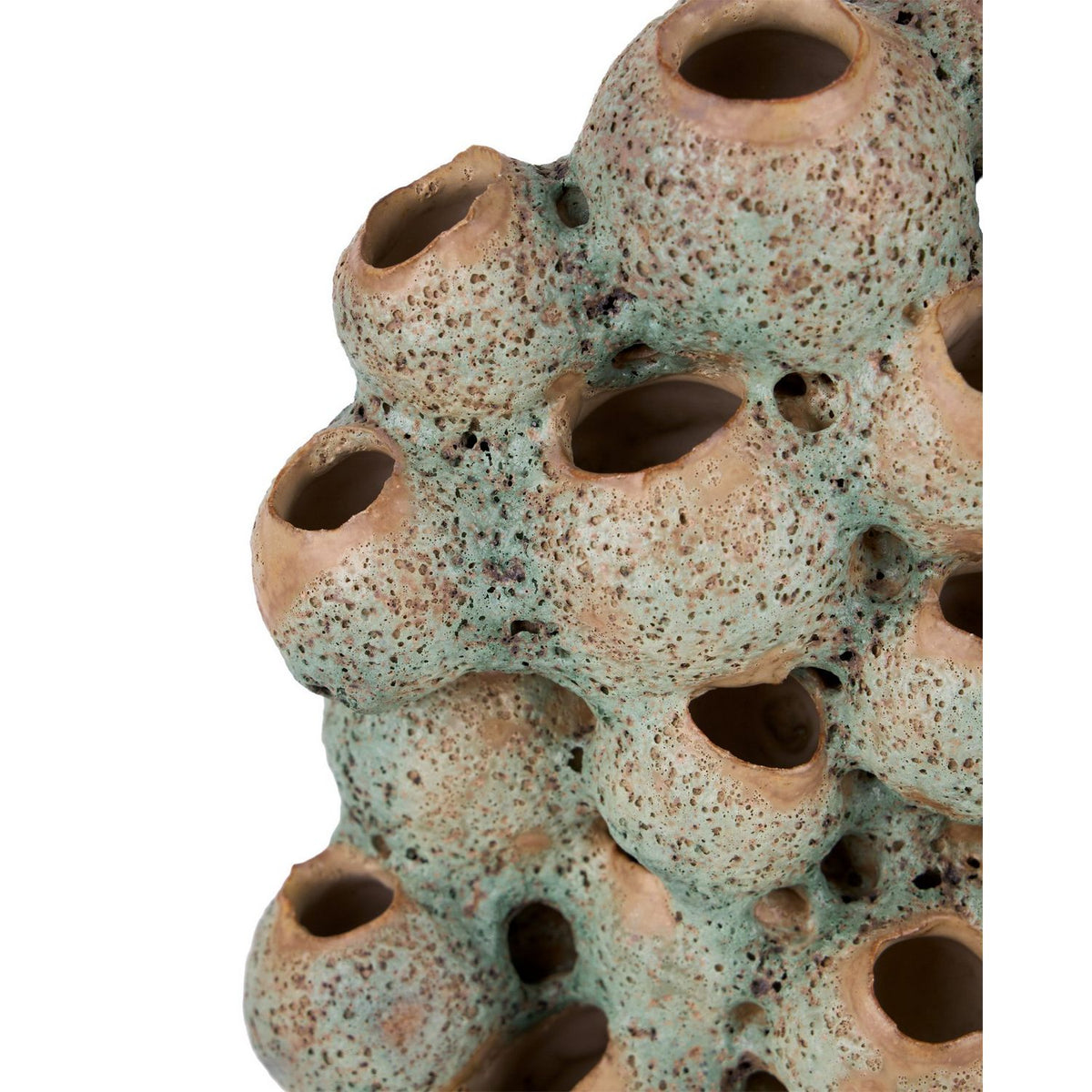 Currey and Company 1200-1107 Sunken Boat Barnacle Object in Moss Green