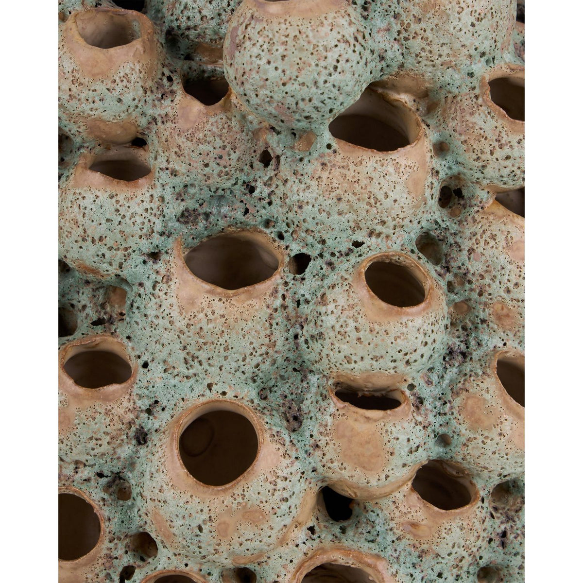 Currey and Company 1200-1107 Sunken Boat Barnacle Object in Moss Green