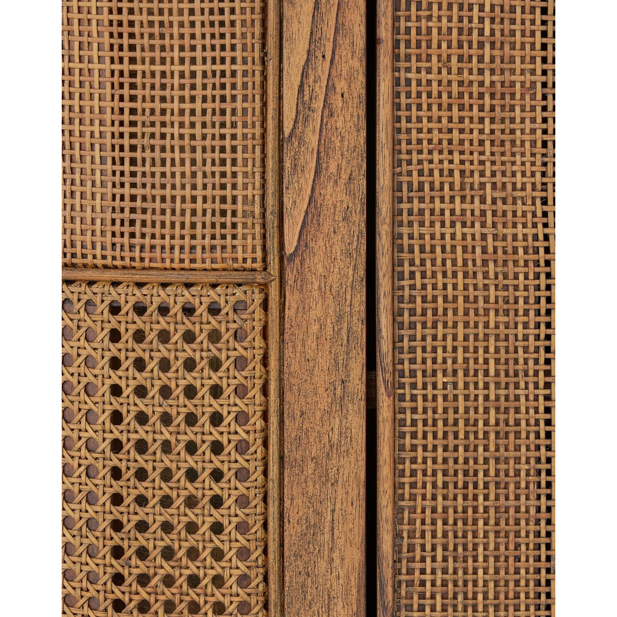 Currey and Company 3000-0345 Virtuosity Credenza in Brushed Driftwood/Natural/Brass