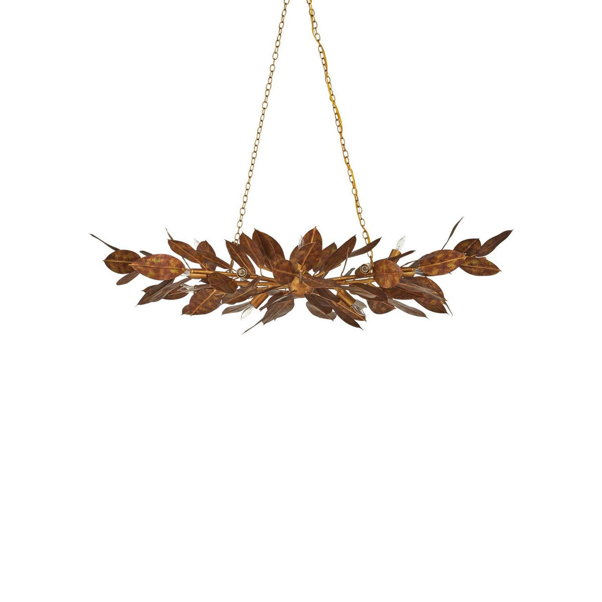 Currey and Company 9000-1432 Weston Oval Chandelier in Magnolia Leaf