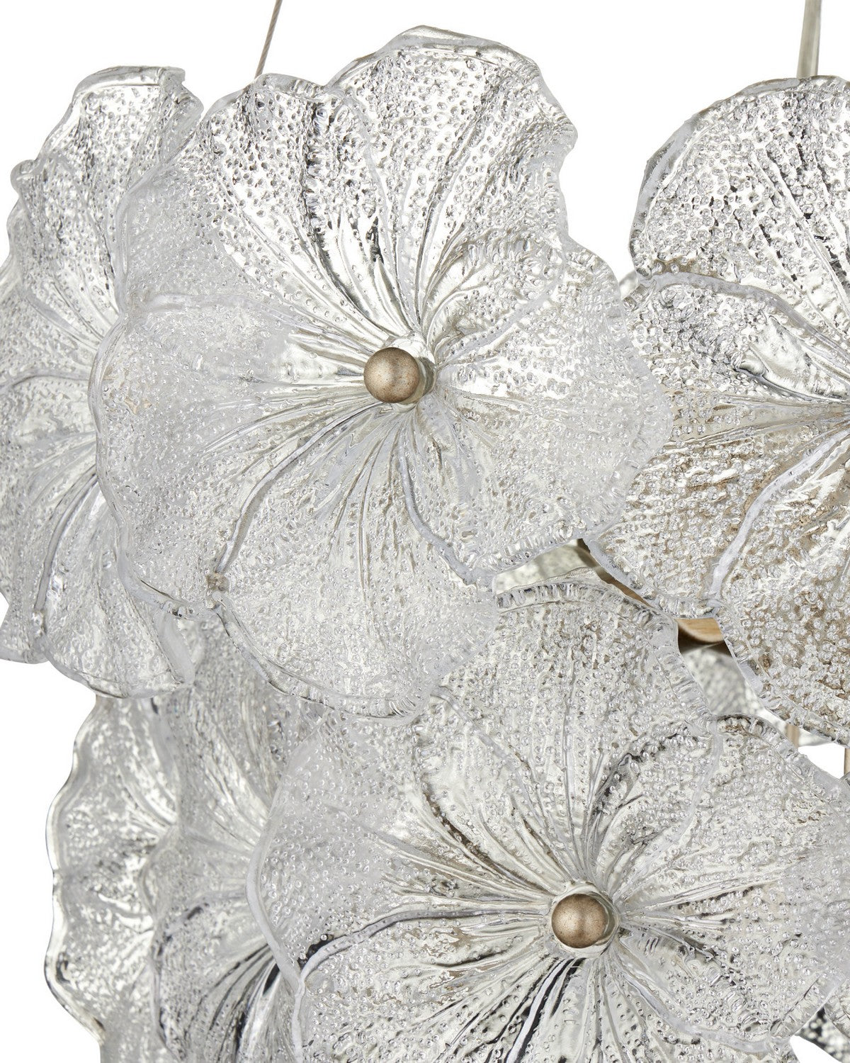 Currey and Company 9000-1468 Mallow Chandelier in Clear/Champagne