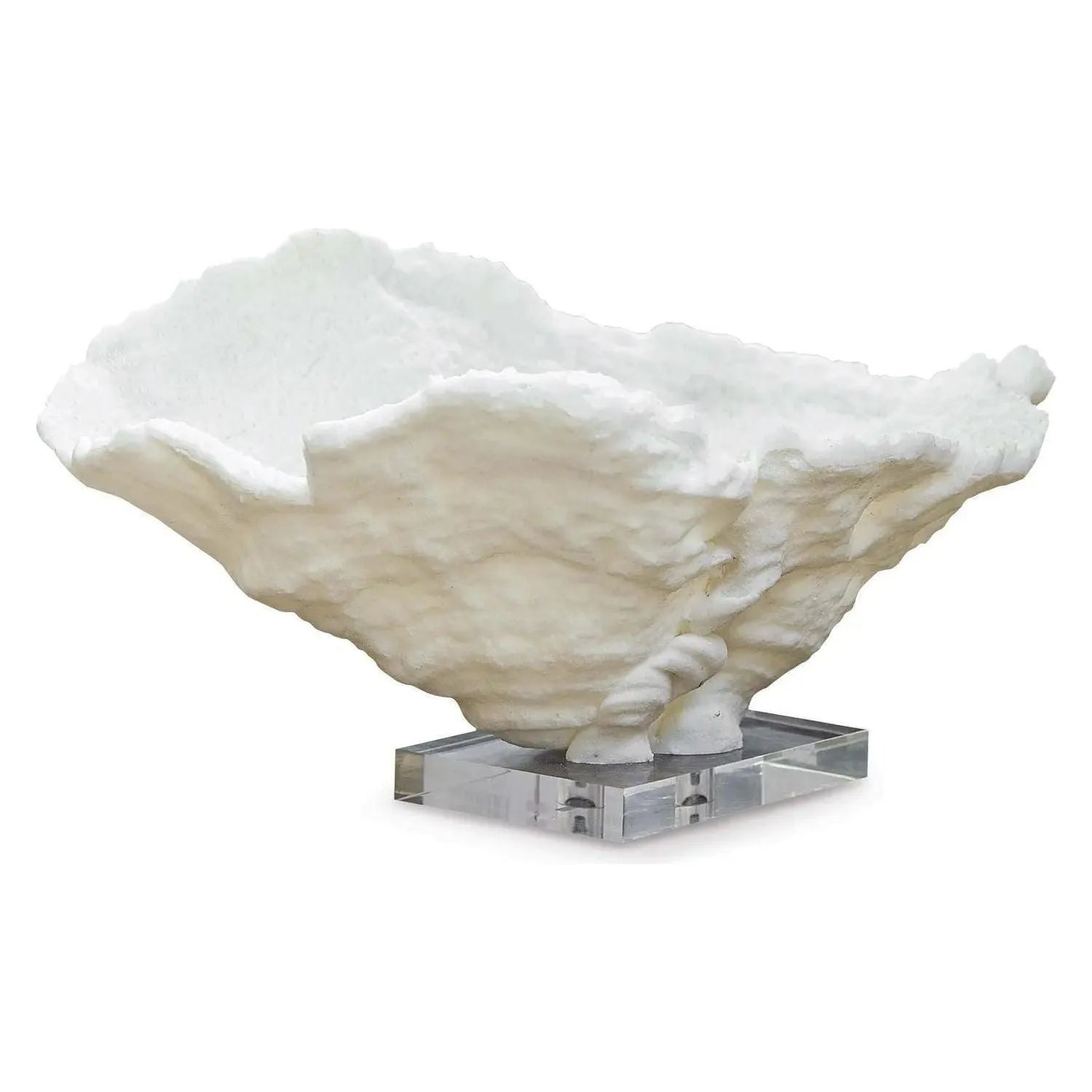 Regina Andrew - Coral Reef Bowl - 20-1030 | The Rug District