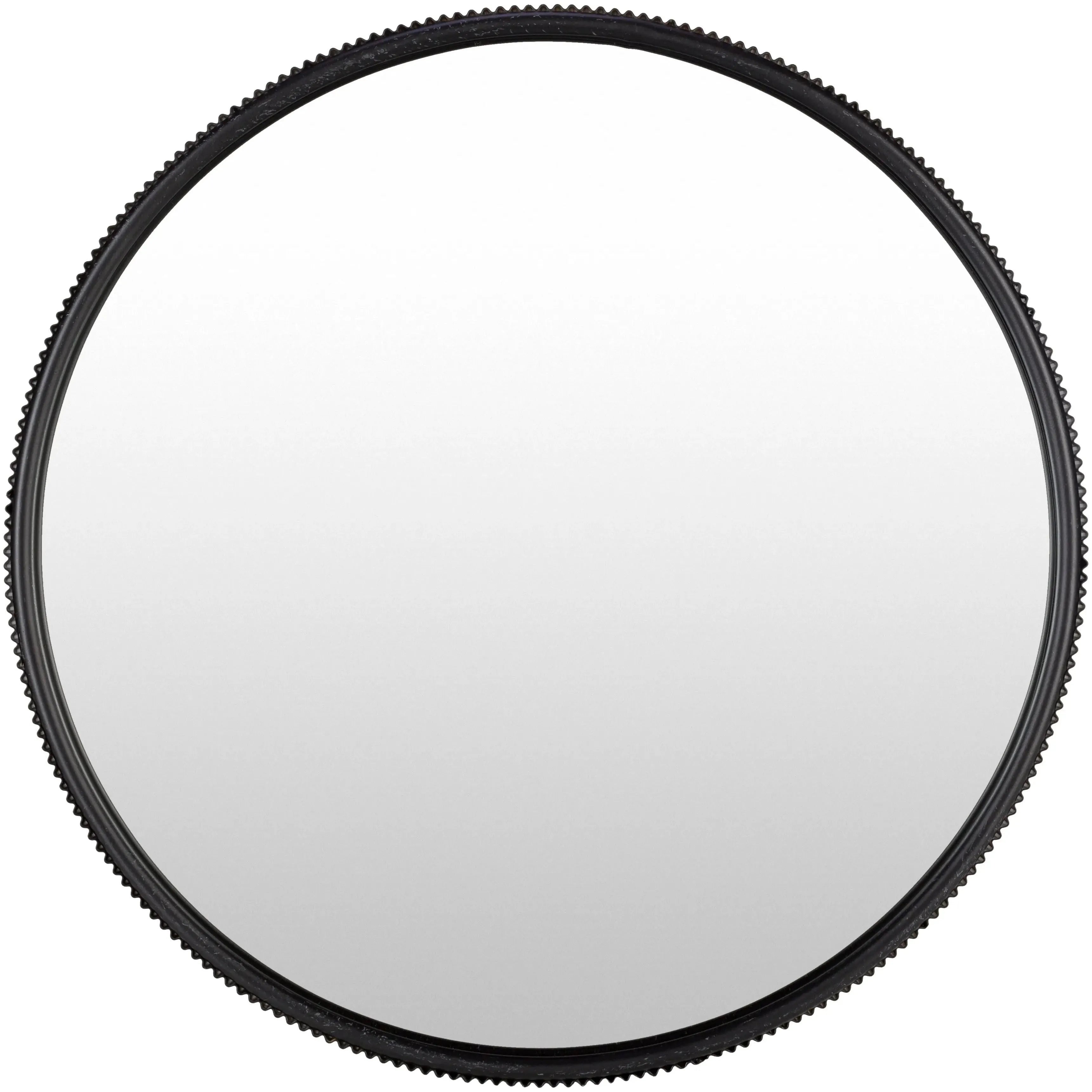 Surya - Adrienne Mirror - AID002-2323 | The Rug District