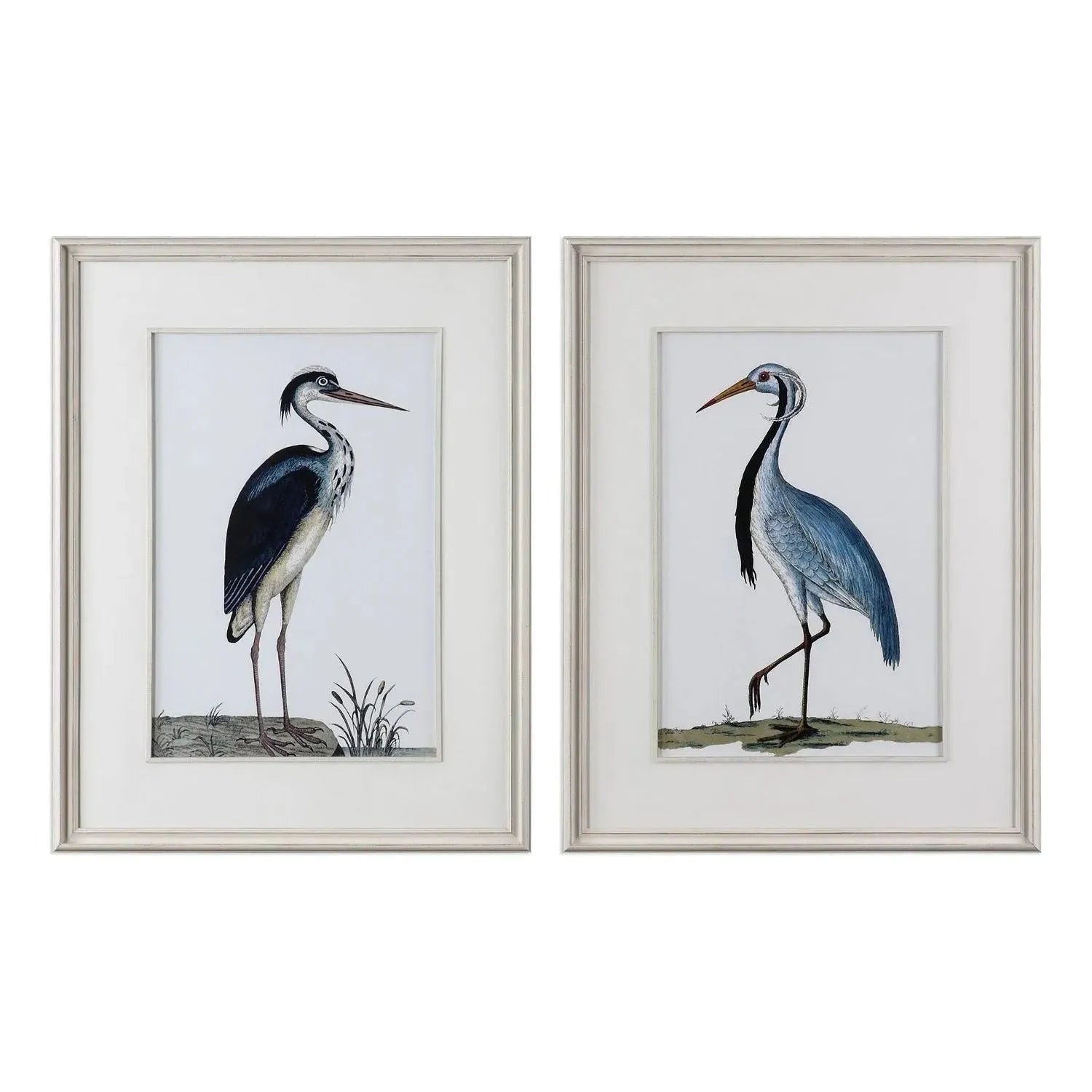 The Uttermost - Shore Birds Wall Art - 33668 | The Rug District