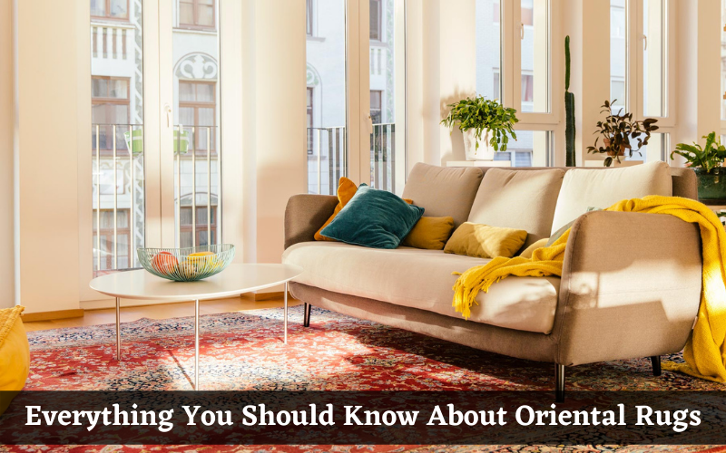 All About Oriental Rugs: Authenticity, Design Ideas, Cleaning Tips and More