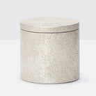 Pigeon and Poodle PP001055 Manchester Canister (Large) in Warm Silver Realistic Faux Shagreen