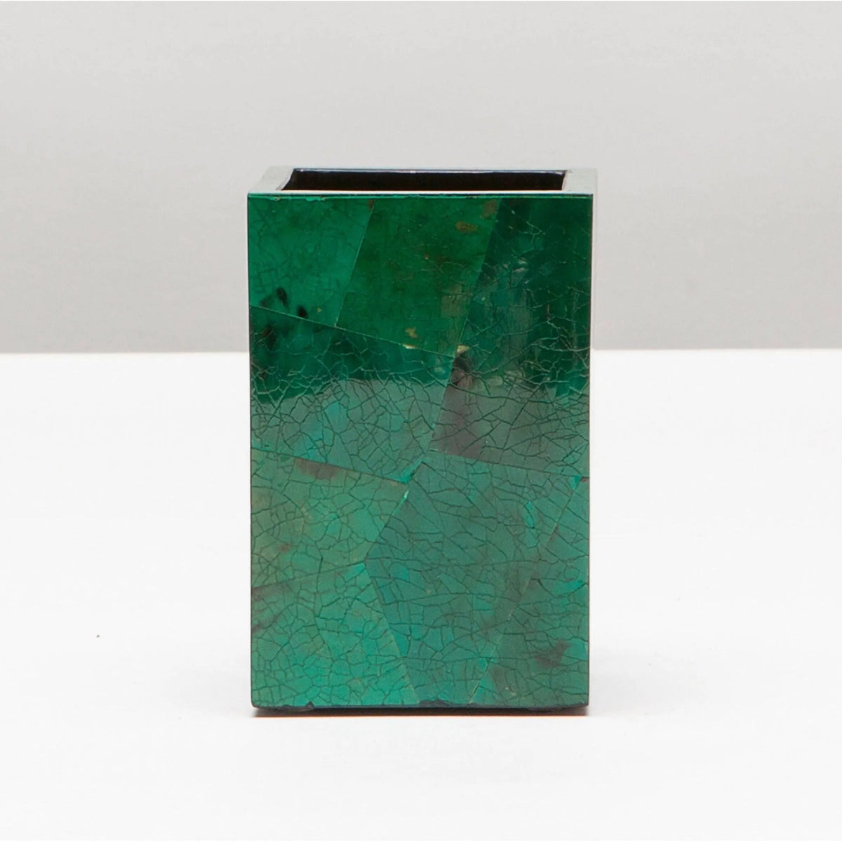 Pigeon and Poodle PP001194 Palm Brush Holder in Emerald Shell
