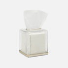 Pigeon and Poodle PP004885 Pomaria Tissue Box in Brushed Gold Glass/Stainless Steel