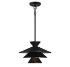 Meridian M70096MBK One Light Pendant in Matte Black