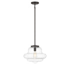 Meridian M7022ORB One Light Pendant in Oil Rubbed Bronze
