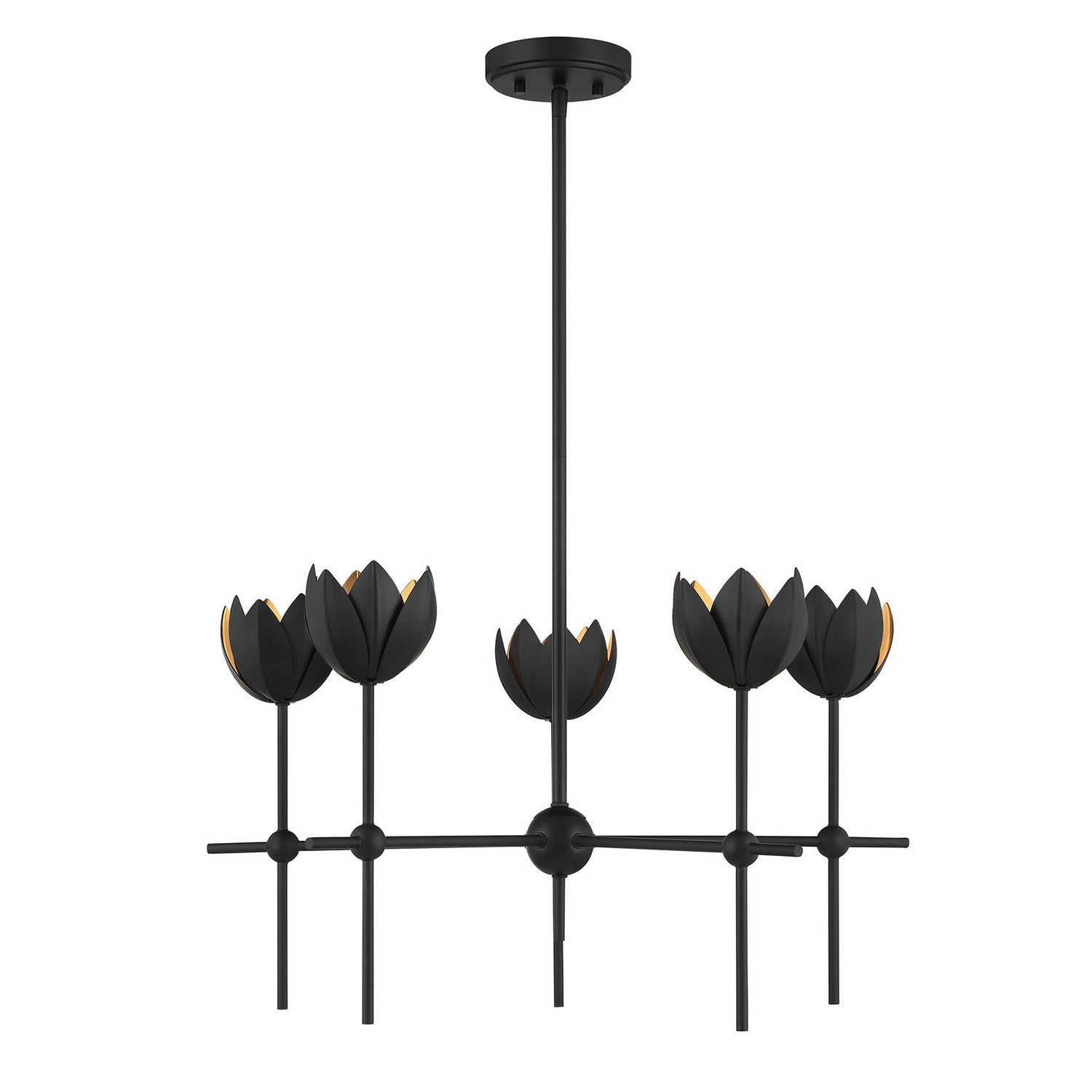 Meridian M100131MBK LED Chandelier in Matte Black