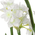 Uttermost - 60228 - Accent Arrangement - Lacey Daffodil - Paperwhite