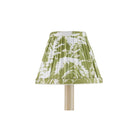 Currey and Company 0900-0043 Aviary Shade in Moss/Ivory