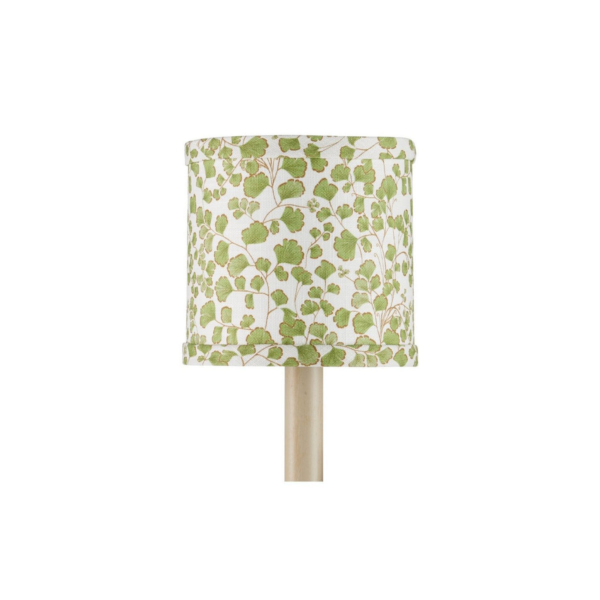 Currey and Company 0900-0057 Maiden Fern Shade in Green/Ivory