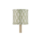 Currey and Company 0900-0065 Plume Shade in Green/Ivory