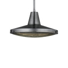 Currey and Company 9500-0027 Mariner Outdoor Pendant in Antique Silver/Clear