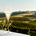 Holmegaard 4304700 Notes Wine Glasses in Clear