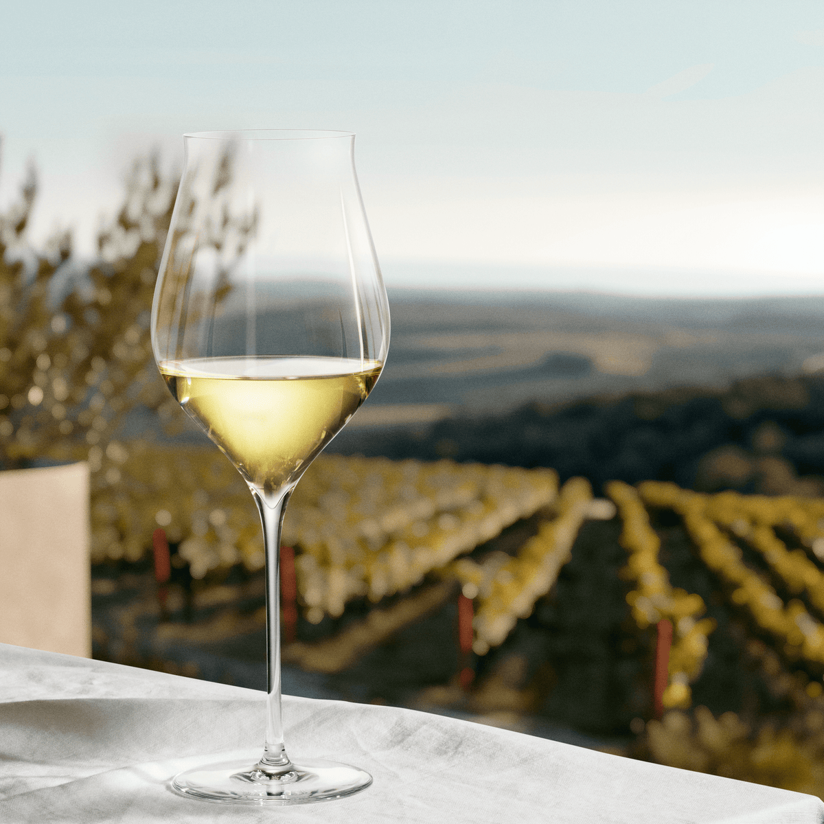 Holmegaard 4304702 Notes Wine Glasses in Clear