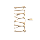 P&Bhusri S5-M-BBZ-XA Provence Towel Warmer in PVD Brushed Bronze