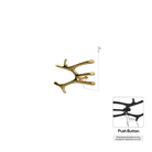 P&Bhusri S7-M-24K-N-DO Daphne's Branch Medium Towel Warmer in PVD 24K Gold