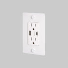 Buster + Punch - 1G Combination Duplex Outlet and USB - A + C Charger - NSC-143815 | The Rug District
