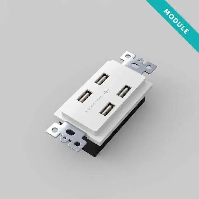 Buster + Punch - USB Outlet Module - NSC-14389 | The Rug District