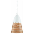 Currey and Company - Arundo Pendant - 9000-0840 | The Rug District
