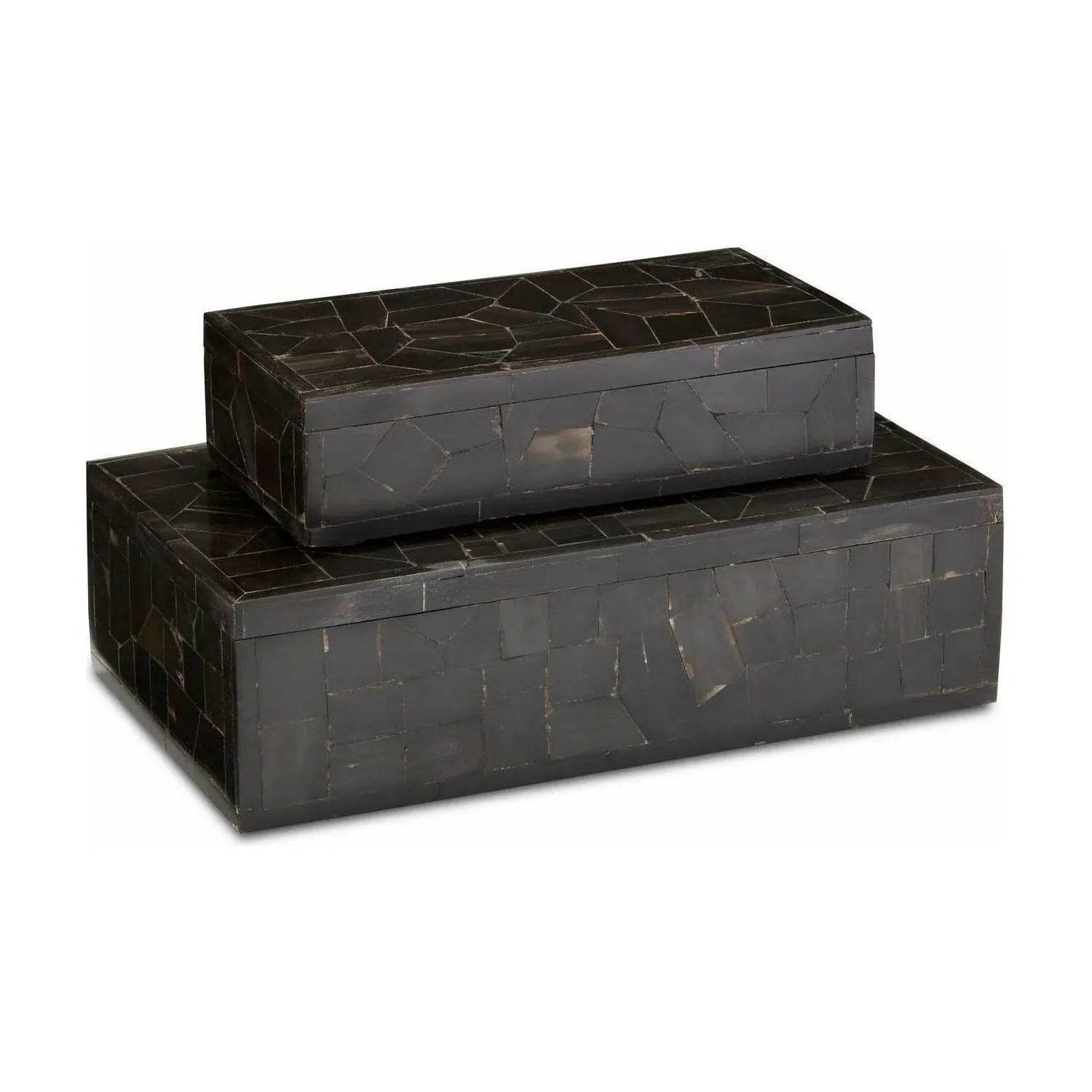 Currey and Company - Black Bone Box Set of 2 - 1200-0452 | The Rug District