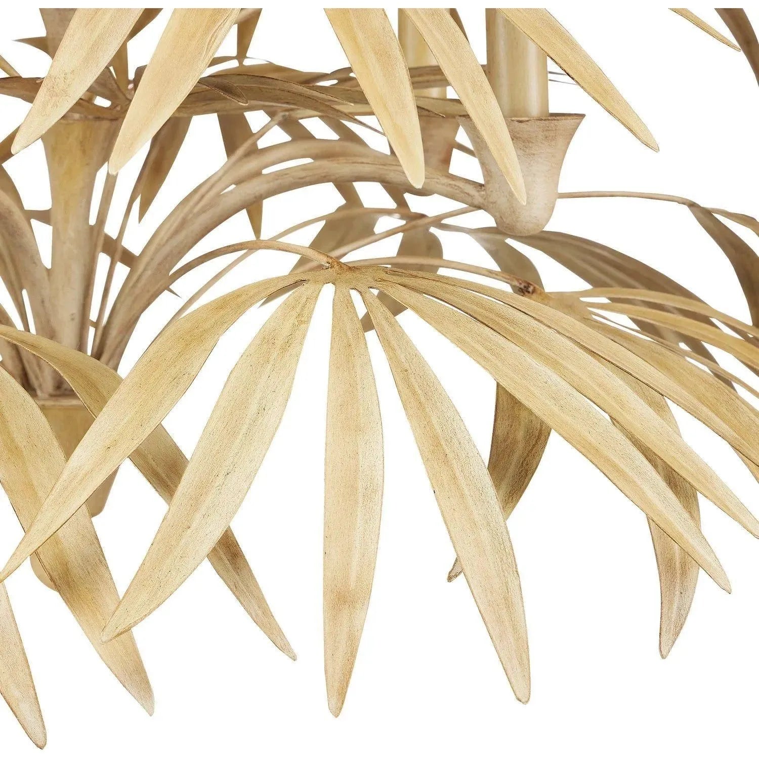 Currey and Company - Calliope Chandelier - 9000-0930 | The Rug District