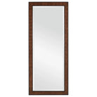 Currey and Company - Dorian Floor Mirror - 1000-0144 | The Rug District