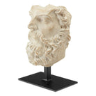 Currey and Company - Head of Zeus - 1200-0444 | The Rug District