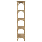 Currey and Company - Olisa Etagere - 3000-0086 | The Rug District