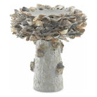 Currey and Company - Oyster Shell Bird Bath - 1200-0052 | The Rug District