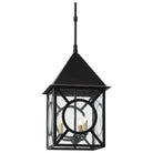 Currey and Company - Ripley Outdoor Lantern - 9500-0008 | The Rug District