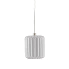 Currey and Company 9000-0709 Dove 1-Light Pendant in White/Silver
