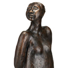 Currey and Company 1200-1056 The Empress in Dark Brown